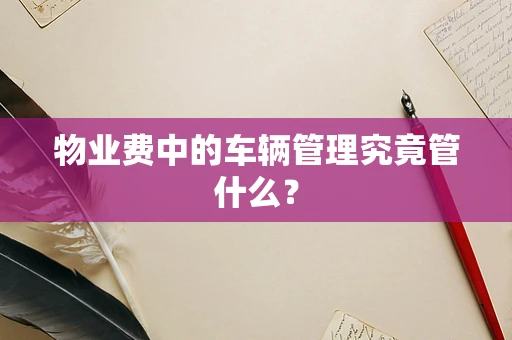 物业费中的车辆管理究竟管什么？