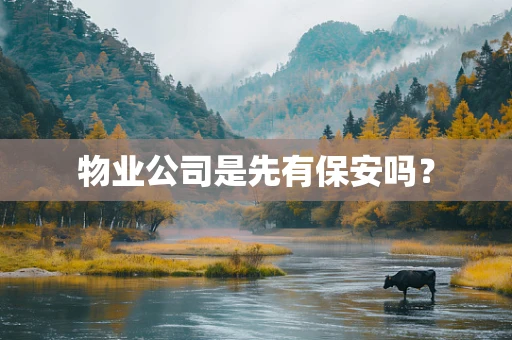 物业公司是先有保安吗？