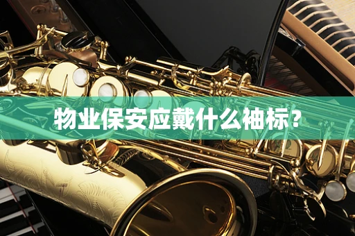 物业保安应戴什么袖标？