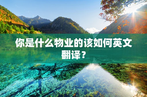 你是什么物业的该如何英文翻译？