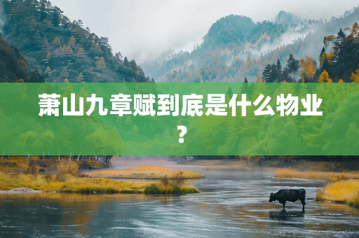 萧山九章赋到底是什么物业？