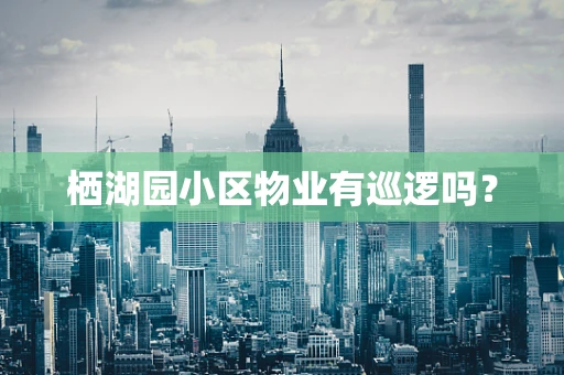 栖湖园小区物业有巡逻吗？