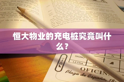 恒大物业的充电桩究竟叫什么？