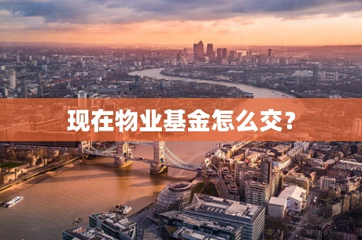 现在物业基金怎么交？