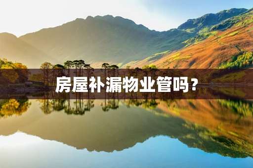 房屋补漏物业管吗？