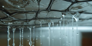 楼层漏水物业管吗？