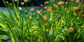 大庆百湖花园究竟是什么物业？