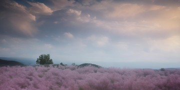珠海物业洗地车会收费吗？