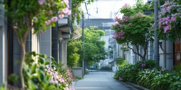 信义路物业平常会进行管理吗？