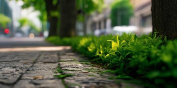 物业为什么收垃圾清运费？